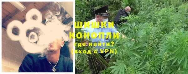 PSILOCYBIN Магас