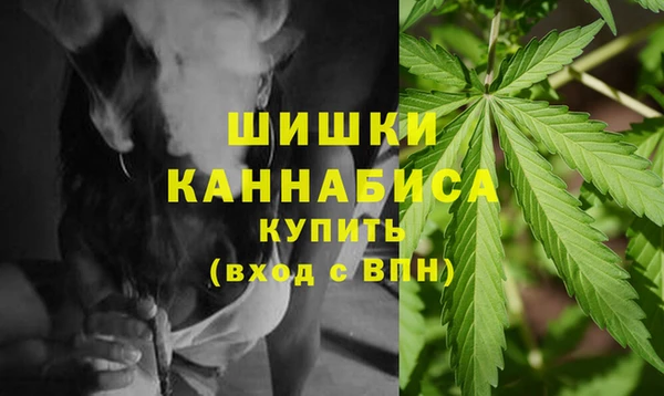 PSILOCYBIN Магас