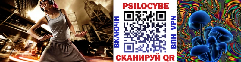 Галлюциногенные грибы Magic Shrooms  darknet телеграм  Туапсе 