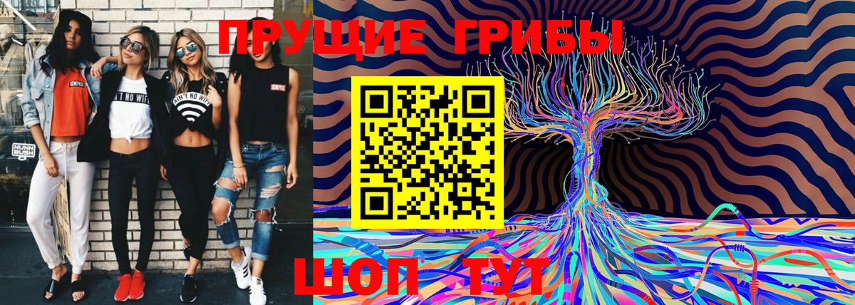 Туапсе  цена   Вход с VPN  Псилоцибиновые грибы Magic Shrooms 
