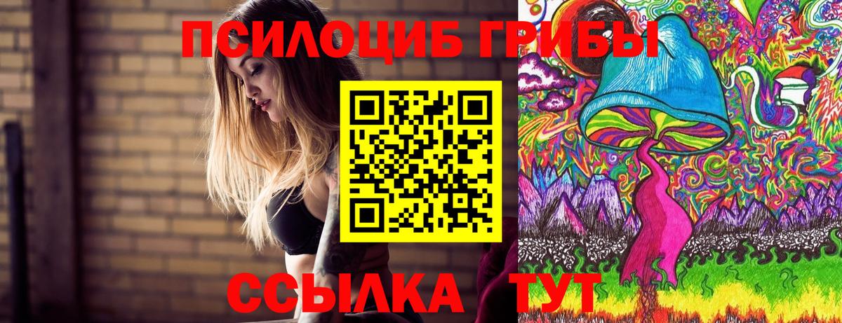 Псилоцибиновые грибы мицелий Туапсе